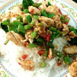 กระเพราไก่วุ้นเส้น