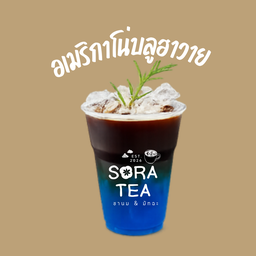 อเมริกาโน่บลูฮาวาย