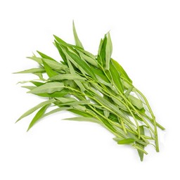 ผักบุ้ง Water Spinach