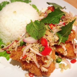 ข้าวปลาดอลลี่ทอดลุยสวน