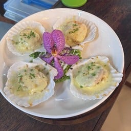 Ocean  seafood buffet -