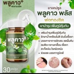 พลูคาวพลัส พ่อทองชิด 1กระปุก
