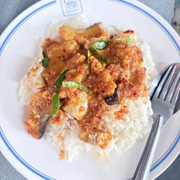 ผัดเผ็ดปลาคังราดข้าว