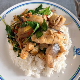 ผัดฉ่าปลาคังราดข้าว