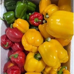 Bell peppers