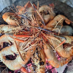 นน.1กิโลกรัมชั่งนน.กุ้งสดก่อนเผา