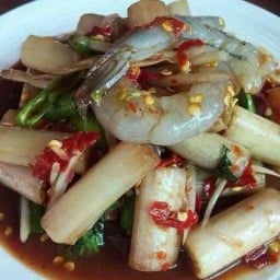 ตำยำเหลา พันธุ์ม้า