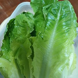 ผักสด ออแกนิคตามฤดูกาล