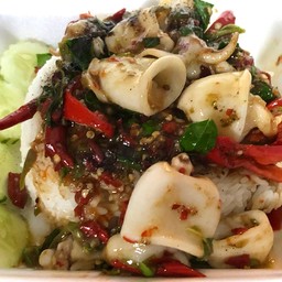 ข้าวราดผัดกระเพราปลาหมึก