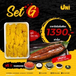 SET G