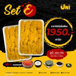 Set E