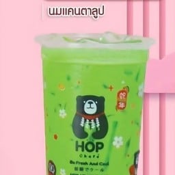 หมีฮ๊อบชาเฟ่หน้าสวนนก สวนนกชัยนาท