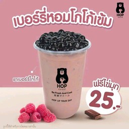 เบอร์รี่โกโก้