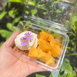 Mango biscoff greek yogurt