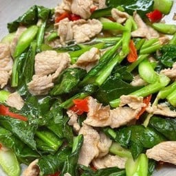 ตามสั่งสิ้นคิดสเตชั่น