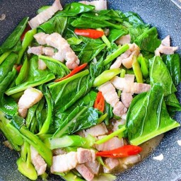 ผัดคะน้า