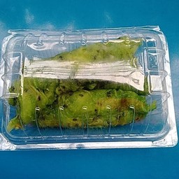 ทองม้วนสด