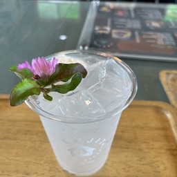 นำ้มะพร้าว