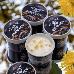 Flower and Mountain (Cup 85g) - ซอร์เบต์ยูซุเบอร์กามอต
