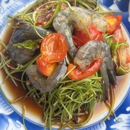 ส้มตำหลังบ้าน