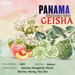 PANAMA Geisha - Light Roast