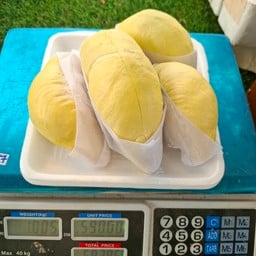 ร้านทุเรียนหัวหิน ตลาดโต้รุ่ง