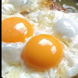 ข้าวไข่ดาว 2 ฟอง