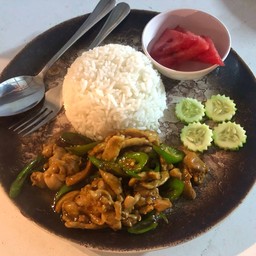 ข้าวราดผัดพริกอ่อนหมูหมัก