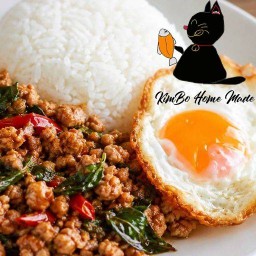 สารพัดไข่ กะเพรา Kimbo Home Made