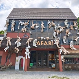 Safari Matcha Bar Khaoyai