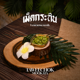 เม็ดกระถิน  Acacia seeds   银合欢种子