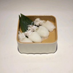 ปลาหมึกกระดองเจาะไซด์เล็ก