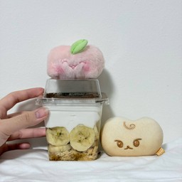 Taro Home