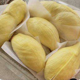 เนื้อทุเรียนหมอนทอง1,000g,-1,100g.