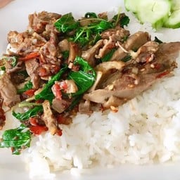 ข้าวกะเพราเป็ด