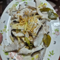 ปลาบึกลวกจิ้ม