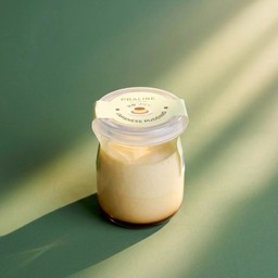 Japanese Pudding Caramel