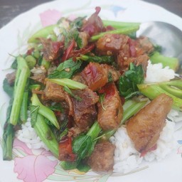 ผัดคะน้า