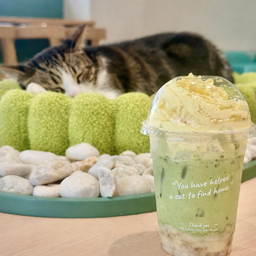 APH Cafe - สุขุมวิท 21 (อโศก) สุขุมวิท 21