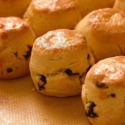 Cranberry Scone