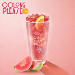 Pink Guava Oolong Osmanthus Tea