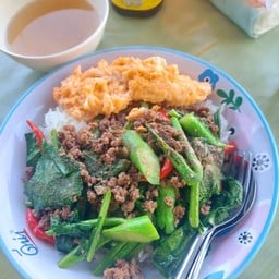 กะเพรา