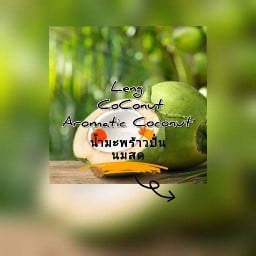 น้ำมะพร้าวปั่นนมสด 🔻มะพร้าวน้ำหอมบ้านแพ้วของแท้ 100%🔻 ซ.วัดท่าพระ