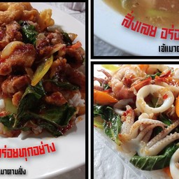 เจ้แมวตามสั่ง สาขาเดียว