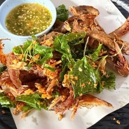 ครัวบ้านป่า-งูเห่า