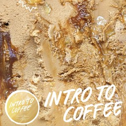 Intro To Coffee (Pint 320-340g)