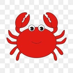 Crab Meat Salad