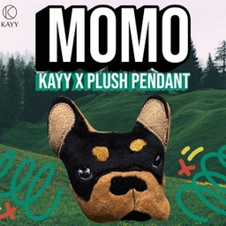 Momo Kayy X Plush Pendant ( D )