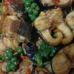 กุ้งอาหารป่าอาหารตามสั่งรสเด็ด(ใช้ข้าวหอมมะลิ) บ้านเอื้ออาทรบ้านสร้าง