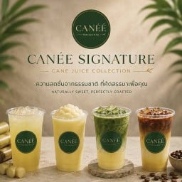 CANEE’ Sugarcane Matcha & Tea